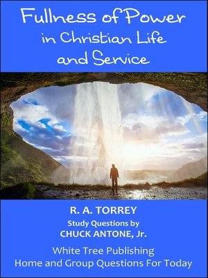 cover image of Fullness of Power in Christian Life and Service, Home and Group Questions for Today